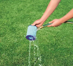 Bestway Filtr Antybakteryjny Typ II 58503 - Akcesoria do basenów - miniaturka - grafika 2