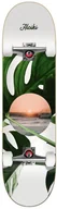 Deskorolki - ALOIKI complet skateboard COAST COMPLETE - miniaturka - grafika 1