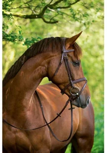 Kerbl Ogłowie wędzidłowe Classic, skóra, brązowe, rozmiar Cob, 324912 - Ogłowia - miniaturka - grafika 2