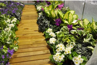 Home&Garden Tunel foliowy 250 x 500 cm (12,5 m2) zielony 854253 - Szklarnie ogrodowe - miniaturka - grafika 11