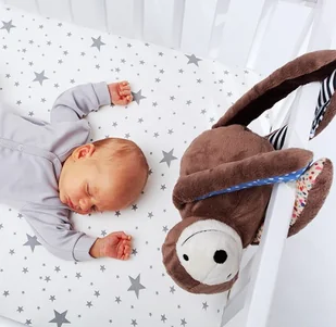 Whisbear LENIWIEC E-ZZY Z MONITOREM ODDECHU 6947-uniw - Szumiące zabawki - miniaturka - grafika 5