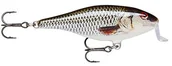 Przynęty - Rapala Wobler Shallow Shad RAP 7 cm Live Roach sztuczna przynęta SSR7-ROL - miniaturka - grafika 1