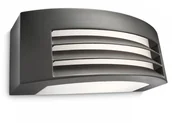 Lampy ścienne - Philips FRAGRANCE 17105/93/16 -kinkiet- ogród IP44 17105/93/16 - miniaturka - grafika 1