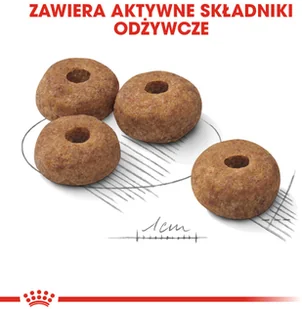 Royal Canin Medium Sterilised 12 kg - Sucha karma dla psów - miniaturka - grafika 7