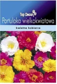 Nasiona i cebule - Top Decor Nasiona portulaka wielkokwiatowa mieszanka - miniaturka - grafika 1