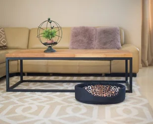 Ami Play Legowisko owalne Fun czarne XS 50703-uniw - Legowiska dla psów - miniaturka - grafika 2