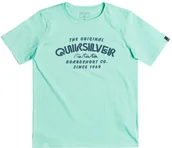 Koszulki dla chłopców - Quiksilver t-shirt YOUTH WILDER MILE TEE Cabbage GEA0 - miniaturka - grafika 1
