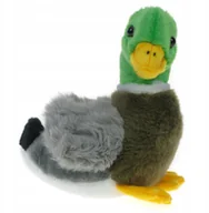 Maskotki i pluszaki - Zoo: maskotka Kaczka Krzyżówka 17cm (05744) - miniaturka - grafika 1