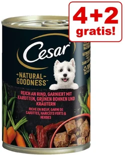 Cesar 4 + 2 gratis! Natural Goodness, 6 x 400 g - Kurczak - Mokra karma dla psów - miniaturka - grafika 2