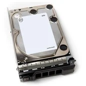 Dyski serwerowe - Dell Dysk serwerowy 1TB 7.2K SATA 6Gbps Non Hot-Plug (400-BGEB) 400-BGEB - miniaturka - grafika 1