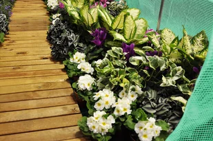 Home&Garden Tunel foliowy 200 cm x 300 cm (6 m2) - kolor zielony - Szklarnie ogrodowe Home&Garden Tunel foliowy 200 cm x 300 cm (6 m2) - kolor zielony - Szklarnie ogrodowe - miniaturka - grafika 19