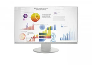 Eizo FlexScan EV2450-GY 24" szary - Monitory Eizo FlexScan EV2450-GY 24" szary - Monitory - miniaturka - grafika 1