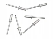 Nitownice - Nity Aluminiowe 4.8X12.5 MM 50 Szt. - miniaturka - grafika 1