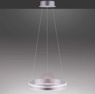 Paul Neuhaus Inteligentna lampa sufitowa stal 40 cm z pilotem - Ronith - Systemy inteligentnych domów - miniaturka - grafika 4