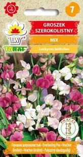 Toraf Groszek szerokolistny 1g Nas000493 - Nasiona i cebule Toraf Groszek szerokolistny 1g Nas000493 - Nasiona i cebule - miniaturka - grafika 1