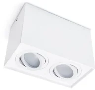 Oprawy, klosze i abażury - Superled OPRAWA HALOGENOWA LED Z SERII: BUSTO X2 NATYNKOWA KWADRAT RUCHOMA - BIAŁY OS-6328 - miniaturka - grafika 1