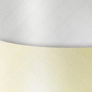 Galeria Papieru Karton ozdobny Argo A4 Chic diamentowa biel 220/20 204804 - Papier do drukarek - miniaturka - grafika 3