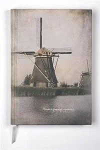 Astra Brulion A5 w kratkę 120 kartek Lam Holland mix - Szkolne artykuły papiernicze - miniaturka - grafika 3