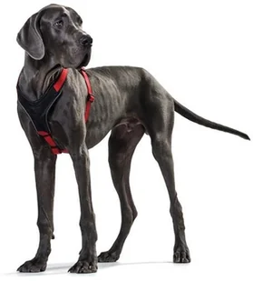 Hunter szelki harness neopren w czerwono-czarnym odcieniu 45-57 cm, 15 mm - Szelki dla psów - miniaturka - grafika 2