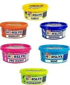 Akcesoria jeździeckie - Horslyx Lizawka smakowa MINI 650g - Horslyx - miniaturka - grafika 1