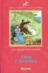 Ania z Avonlea - Lucy Maud Montgomery - Książki edukacyjne - miniaturka - grafika 2