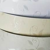 Artykuły biurowe - Karton ozdobny Liana - miniaturka - grafika 1