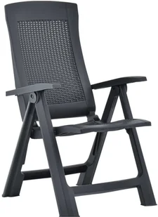 vidaXL Rozkładane krzesła do ogrodu, 2 szt., plastikowe, antracytowe - Fotele i krzesła ogrodowe - miniaturka - grafika 2
