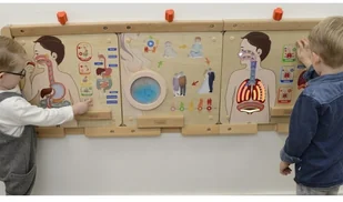 Masterkidz MASTERKIDZ Tablica Edukacyjna Układ Oddechowy ME14405 - Tablice dla dzieci - miniaturka - grafika 6