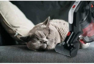 Hoover HF222AXL 011 H-Free - Odkurzacze pionowe - miniaturka - grafika 7