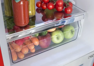 Lodówka Amica FK2965.3RAA - Lodówki - miniaturka - grafika 17