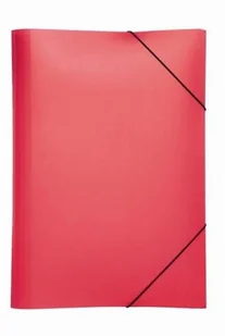 Durable TECZKA Z GUMKA PP A3 DUR TREND 21638-03 CZE - Teczki i skoroszyty - miniaturka - grafika 2