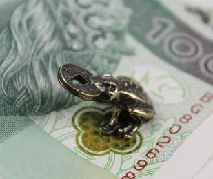 Żabka mosiężna mała z monetą na pomnażanie pieniędzy - Figurki dekoracyjne - miniaturka - grafika 6
