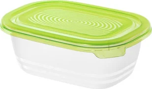 ROTHO Pojemnik Sunshine 1L Zielony 3 sztuki) 6122005070 - Akcesoria i części AGD - miniaturka - grafika 2
