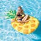 Intex Jednoosobowy materac PINEAPPLE dla 1 osoby 216x124 cm B07572YKC9 - Materace turystyczne - miniaturka - grafika 13