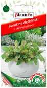 Nasiona i cebule - Plantico Burak ćwikłowy Mini Ogród - miniaturka - grafika 1