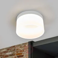 Lampy sufitowe - Helestra LIV lampa sufitowa LED Biały, 1-punktowy - Nowoczesny - Obszar wewnętrzny - LIV - Czas dostawy: od 4-8 dni roboczych 15/1632.07 - miniaturka - grafika 1