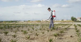 PULMIC PULMIC RAPTOR 12 OPRYSKIWACZ PLECAKOWY CIŚNIENIOWY RĘCZNY TŁOKOWY 12L EWIMAX PULMIC PULMIC RAPTOR 12 OPRYSKIWACZ PLECAKOWY CIŚNIE - Opryskiwacze - miniaturka - grafika 6