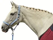 Akcesoria jeździeckie - HKM Halfter -Stars Economy-, granatowy - miniaturka - grafika 1