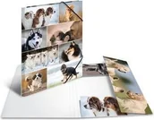 Teczki i skoroszyty - Herma Teczka A3 19218 19218 - miniaturka - grafika 1