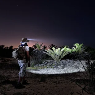 Fenix Fenix HM60R - LED Czołówka akumulatorowa 4xLED/2xCR123A IP68 - Żarówki LED Fenix Fenix HM60R - LED Czołówka akumulatorowa 4xLED/2xCR123A IP68 - Żarówki LED - miniaturka - grafika 8