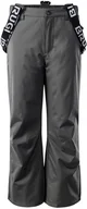 Spodnie narciarskie - BRUGI Dziecięce Spodnie narciarskie BRUGI 1AI8 1AI8/TM37/1C/486 - miniaturka - grafika 1