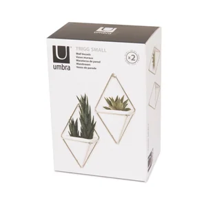 Umbra Kwietnik ścienny 2 szt. Mały Sreby TRIGG 470753-670 - Kwietniki - miniaturka - grafika 11
