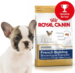 Royal Canin Bulldog Junior 12 kg - Sucha karma dla psów Royal Canin Bulldog Junior 12 kg - Sucha karma dla psów - miniaturka - grafika 4