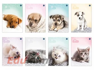 Inter-druk SA ZESZYT A5 16 # UV KOLEKCJA PUPPY SING wszystko dla domu i biura! ZE16#PS - Zeszyty szkolne - miniaturka - grafika 2