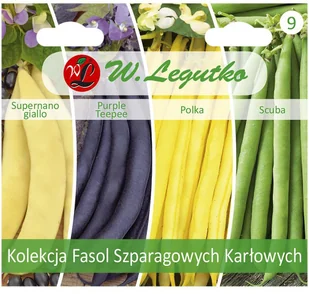 Legutko Fasola kolekcja nasion tradycyjnych - Nasiona i cebule - miniaturka - grafika 2