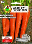 Nasiona i cebule - Pnos Marchew Jadalna Pierwszy Zbiór 6 m - miniaturka - grafika 1