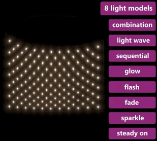 vidaXL Siatka z lampek LED, ciepła biel, 3x3 m, 306 LED vidaXL - Oświetlenie świąteczne - miniaturka - grafika 5