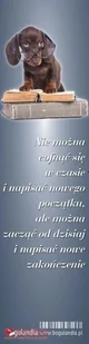 Bogulandia Zakładka do książki- Nie można cofnąć się w czasie - Powieści - miniaturka - grafika 2
