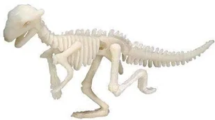 Geo Kids/Navir/DAM Bones&More, Duży szkielet dinozaura - wykopalisko odcisk łapy mokopico-1752-0 - Zabawki kreatywne - miniaturka - grafika 10