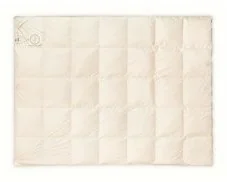 AMZ Kołdra Organic Cotton Całoroczna 155/200 - Kołdry - miniaturka - grafika 4